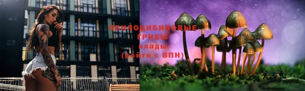 ГАЛЛЮЦИНОГЕННЫЕ ГРИБЫ Алексин
