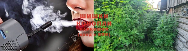ГАЛЛЮЦИНОГЕННЫЕ ГРИБЫ Алексин