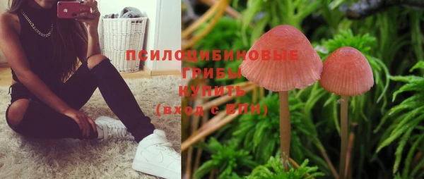 2c-b Алзамай
